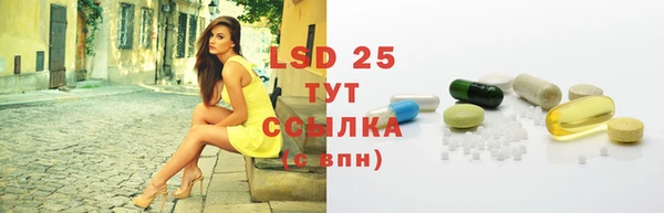 PSILOCYBIN Баксан