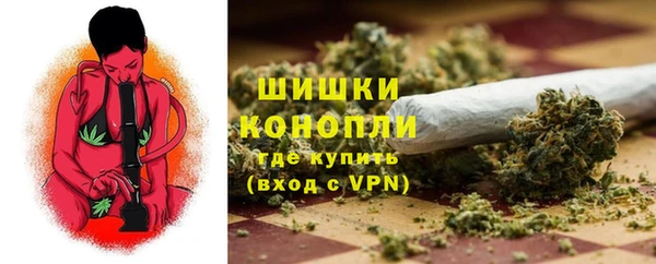 PSILOCYBIN Баксан