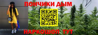 прущие крисы Кингисепп