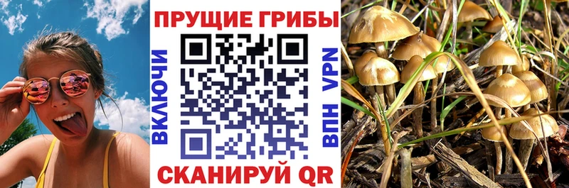 Галлюциногенные грибы GOLDEN TEACHER  нарко площадка состав  Саяногорск  даркнет сайт 