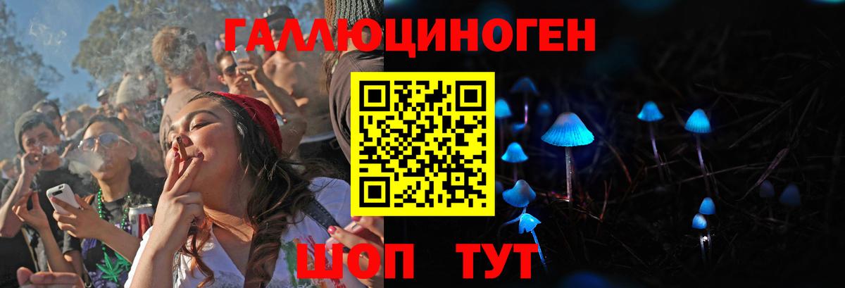 Саяногорск  Галлюциногенные грибы Psilocybine cubensis  Вход с VPN  Галлюциногенные грибы мухоморы 
